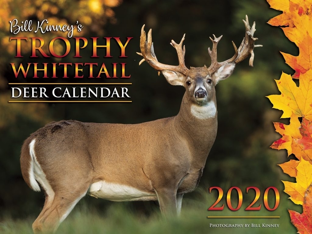 Deer And Deer Hunting 2024 Calendar Ally Ann Marie