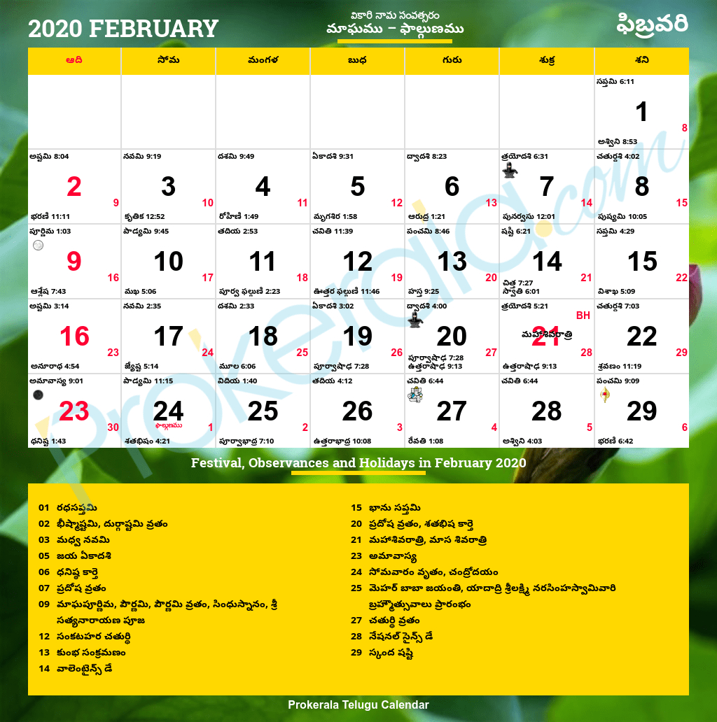 1984 Telugu Calendar February 2022 [Pdf 26Mb] - Alejandro