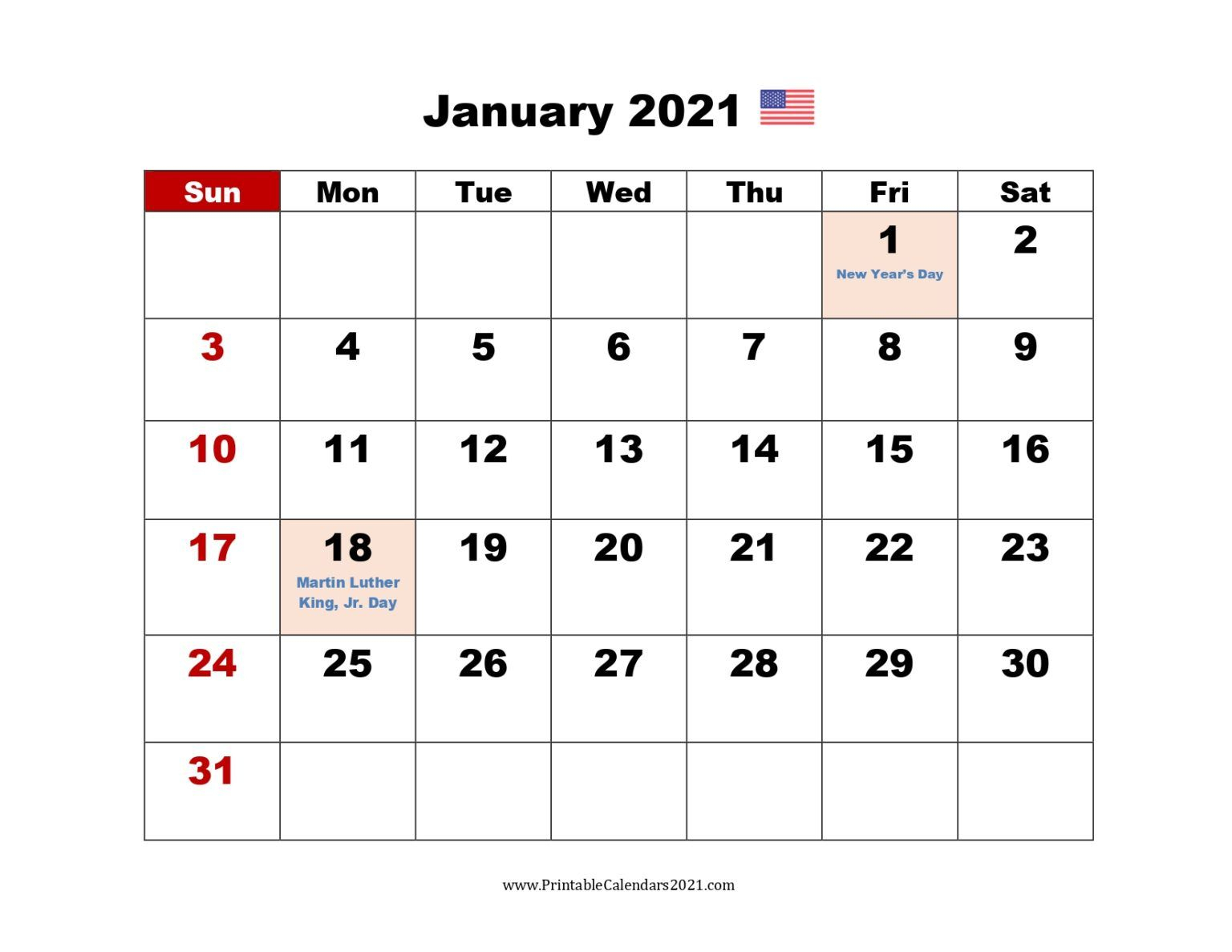 20+ January 2021 Daily Calendar - Free Download Printable