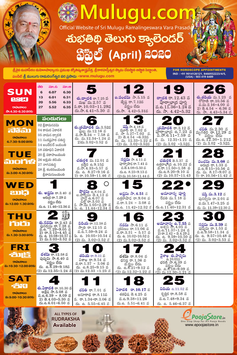 Telugu Calendar 2022 February Telangana Calendar Template 2022