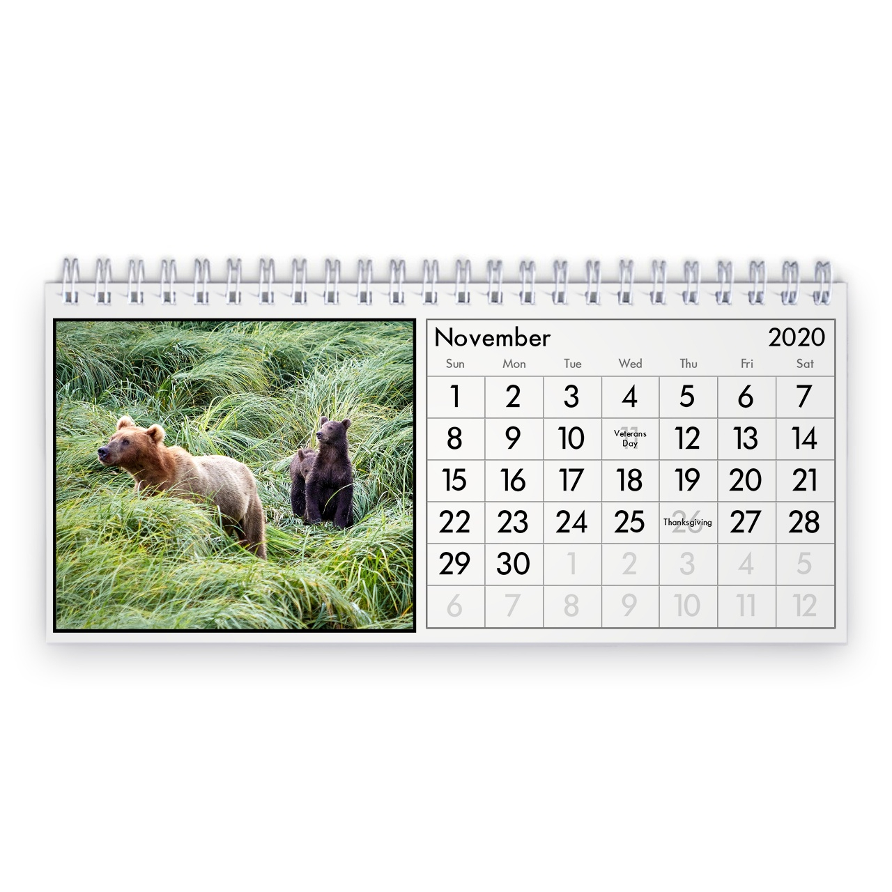 Bear 2022 Desk Calendar