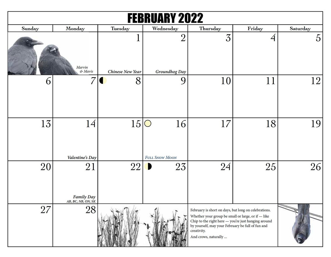 City Crow Calendar 2022 By June Hunter 13 Months Of Crow