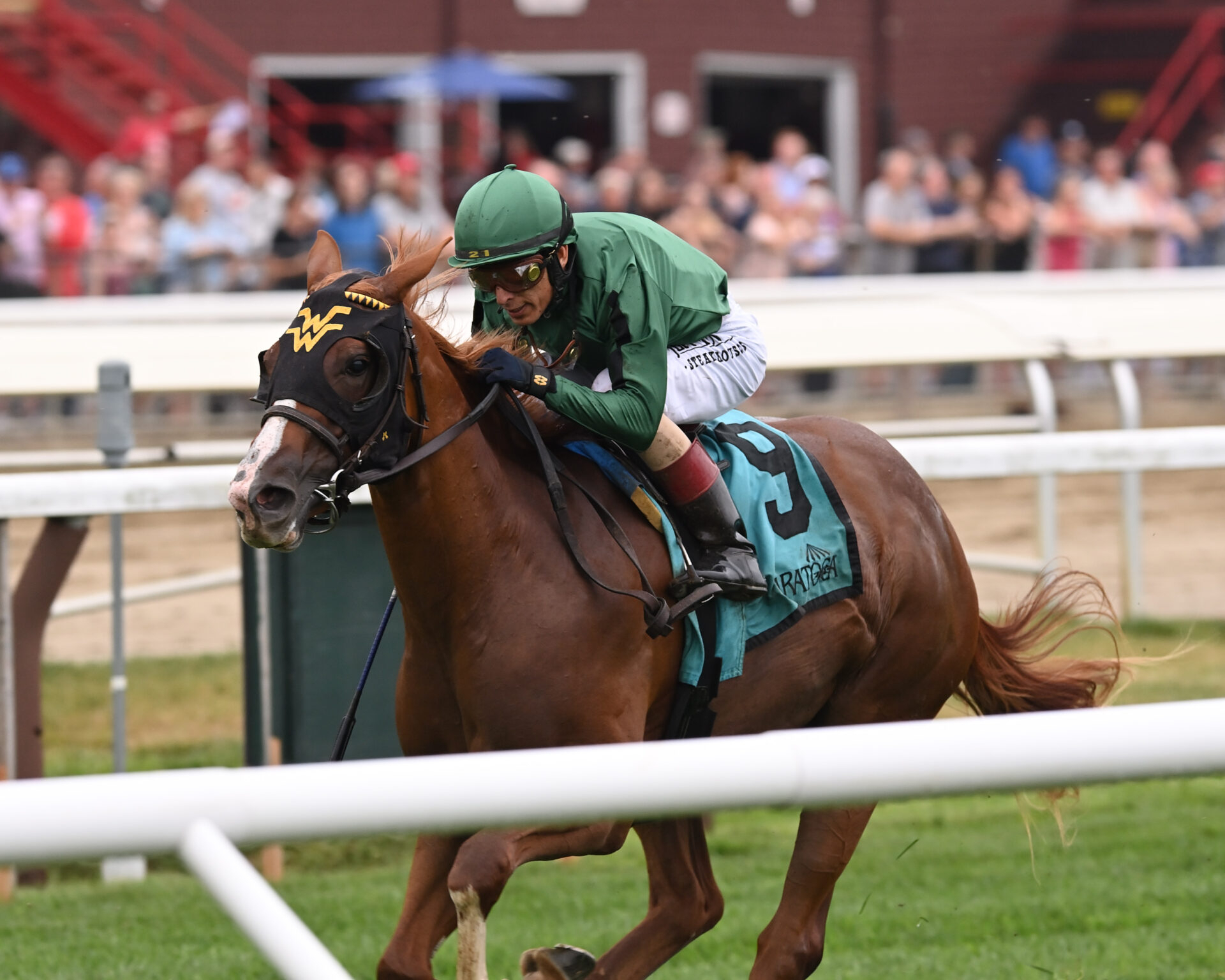 Horse Racing Stakes Schedule | Thoroughbred Racing Dudes