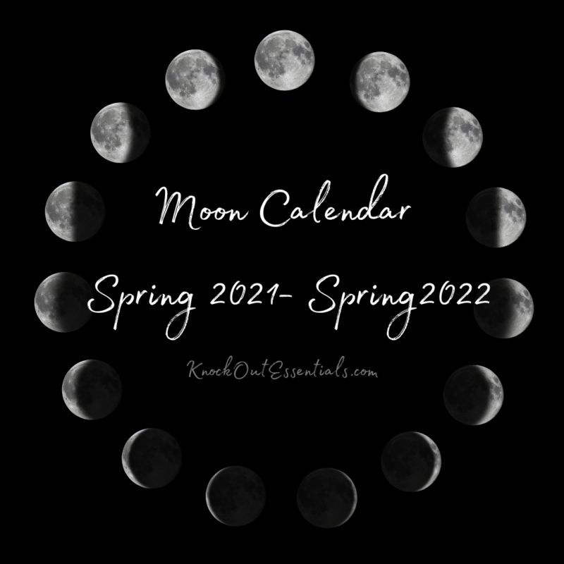 Moon Calendar Spring 2021 - Spring 2022 - Knockout Essentials