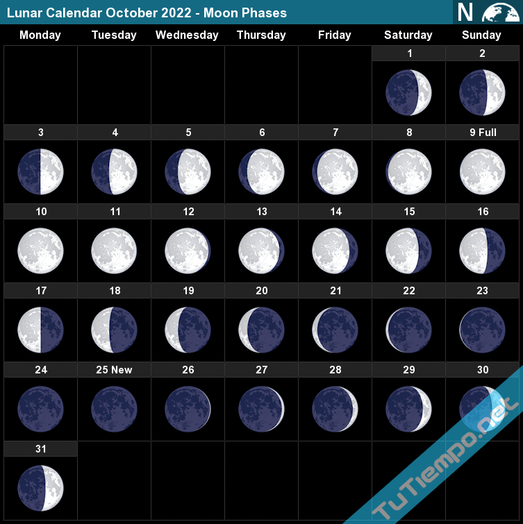 Moon Phase Calendar October 2022 - August Calendar 2022