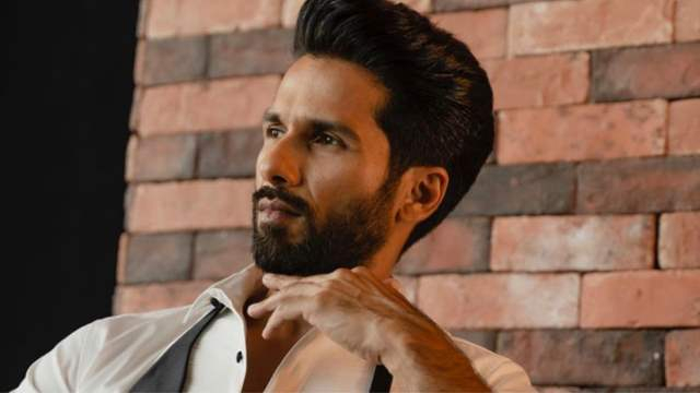 Shahid Kapoor&#039;S Action Movie Bull To Release In Theaters