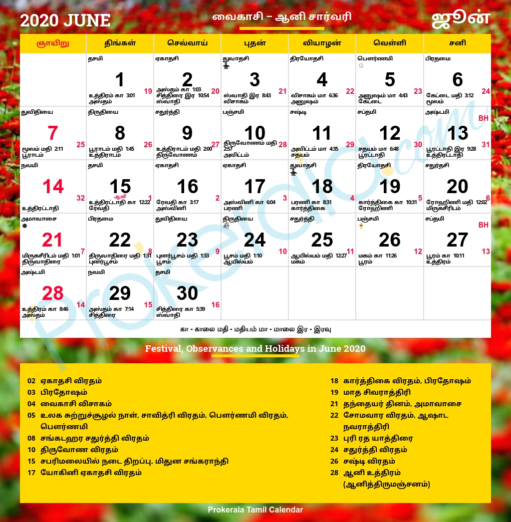 Tamil Daily Calendar 2021 | Avnitasoni