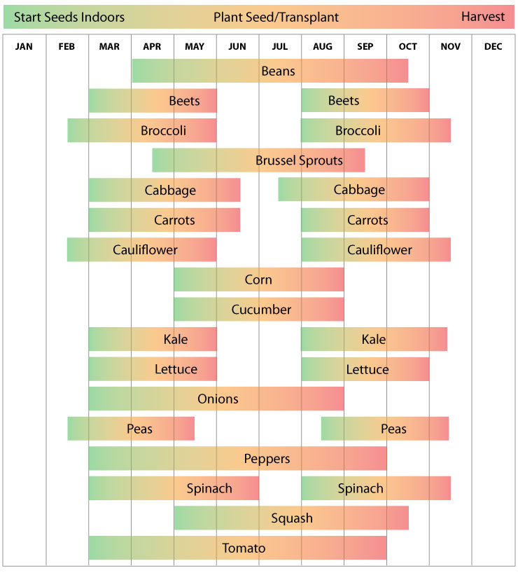 Vegetable Planting Calendar For Georgia