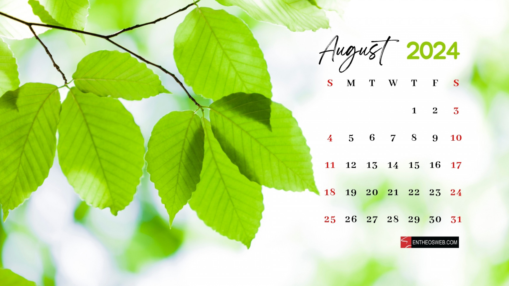 August  Desktop Wallpaper  EntheosWeb